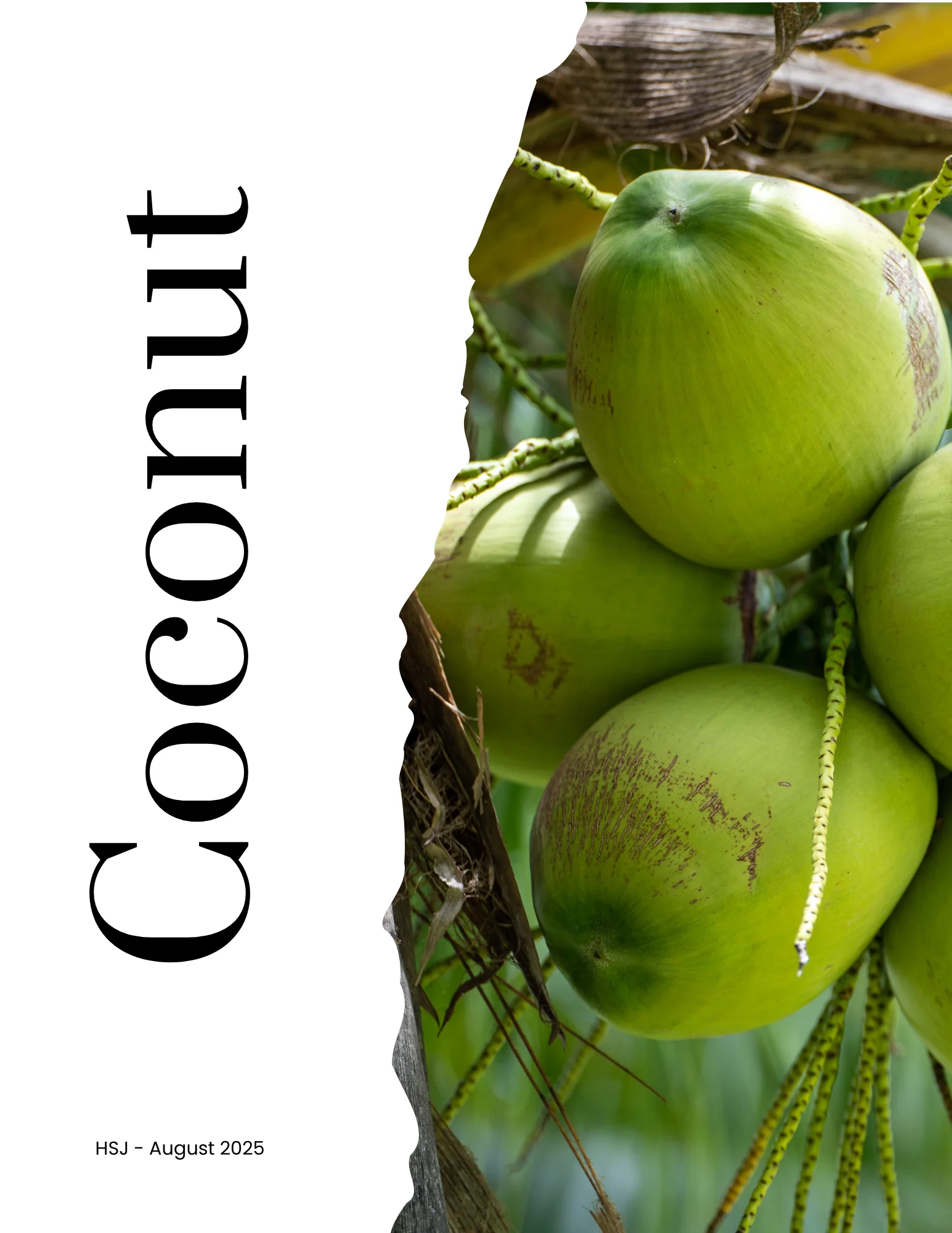 Jamaican Coconut