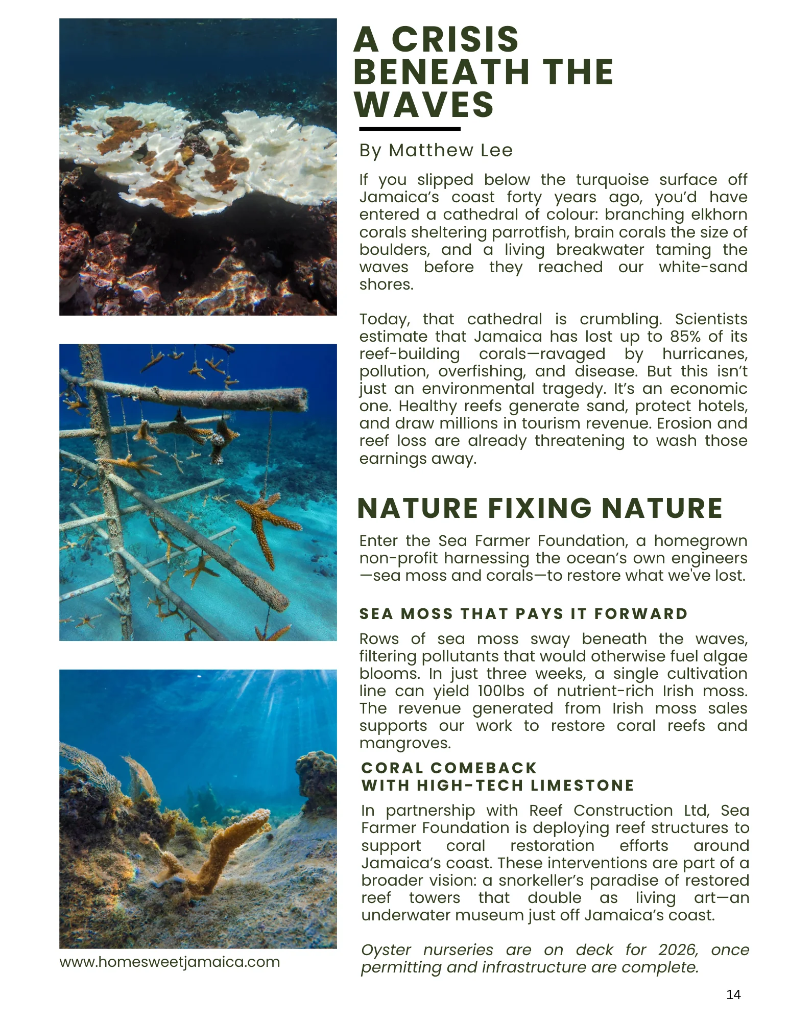 Sea Farmer Foundation