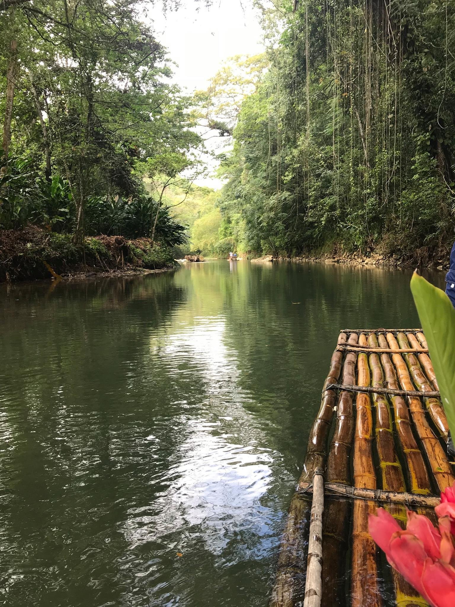 Fresh green coconut on limestone