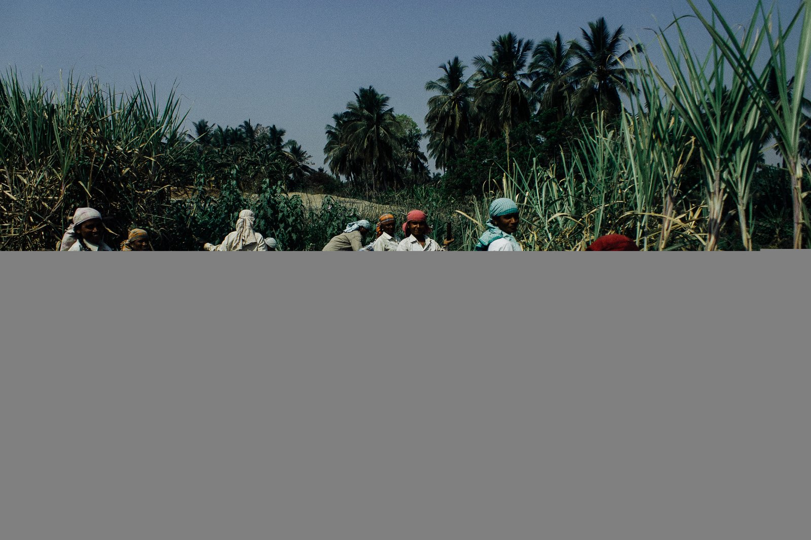 Aerial drone shot of the Seville Great House and lush St. Ann estate