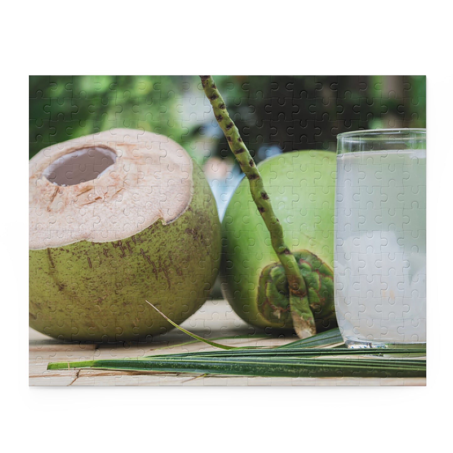 Green Coconut Puzzle (120, 252, or 500-Pieces)