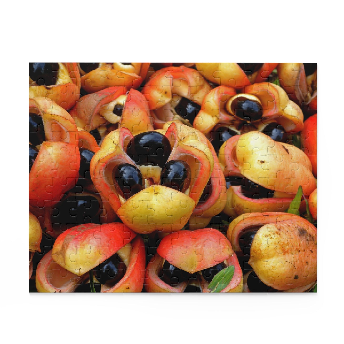 Ackee Puzzle (120, 252, or 500-Pieces)