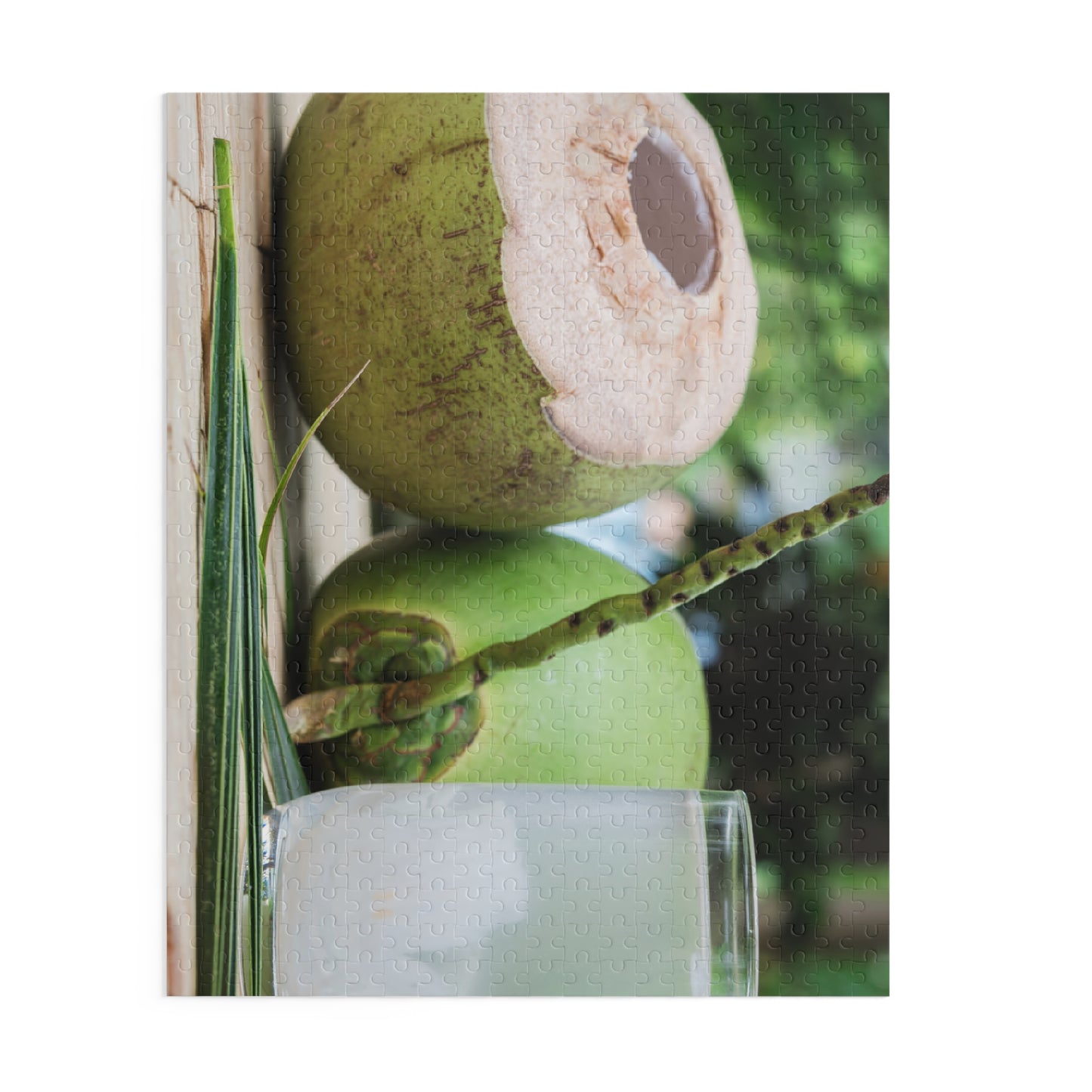 Green Coconut Puzzle (120, 252, or 500-Pieces)