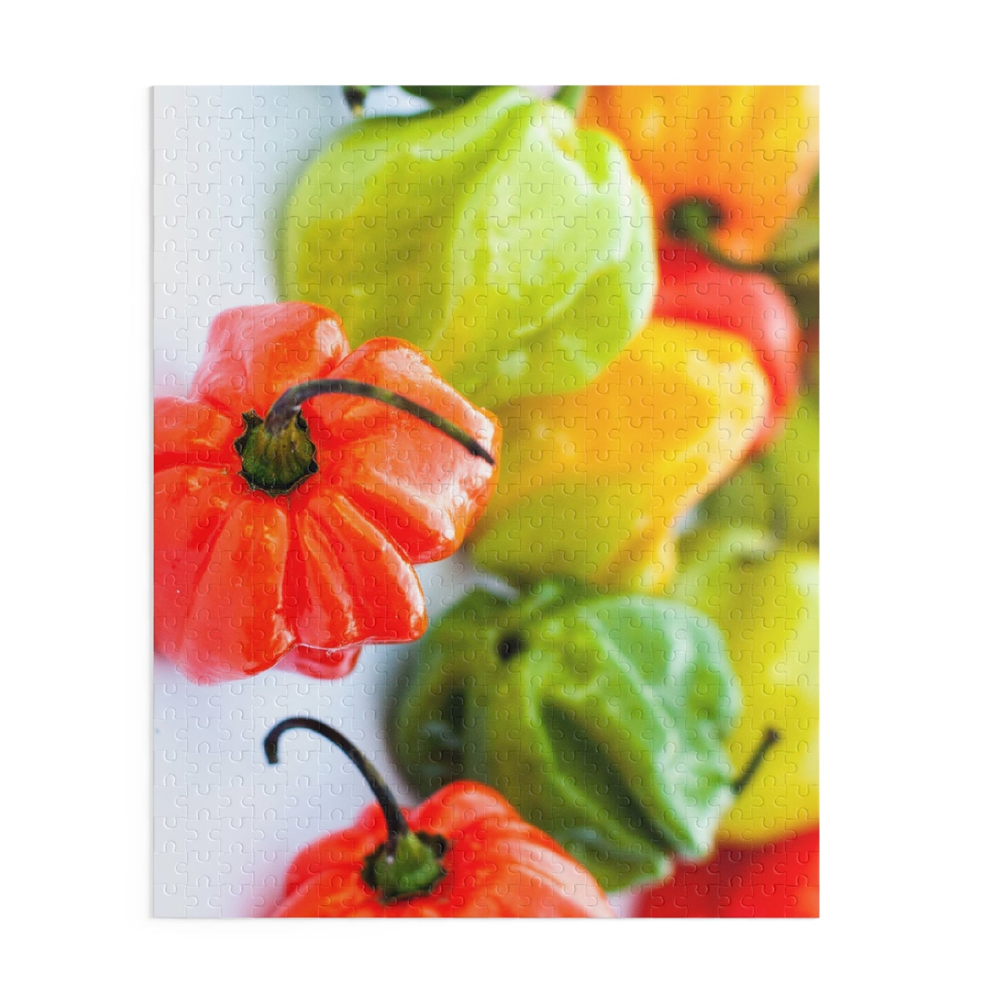 Scotch Bonnet Puzzle (120, 252, or 500-Pieces)