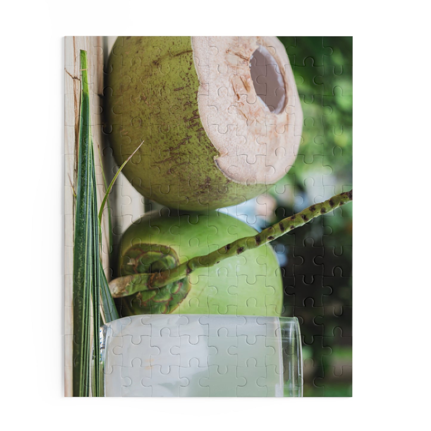 Green Coconut Puzzle (120, 252, or 500-Pieces)