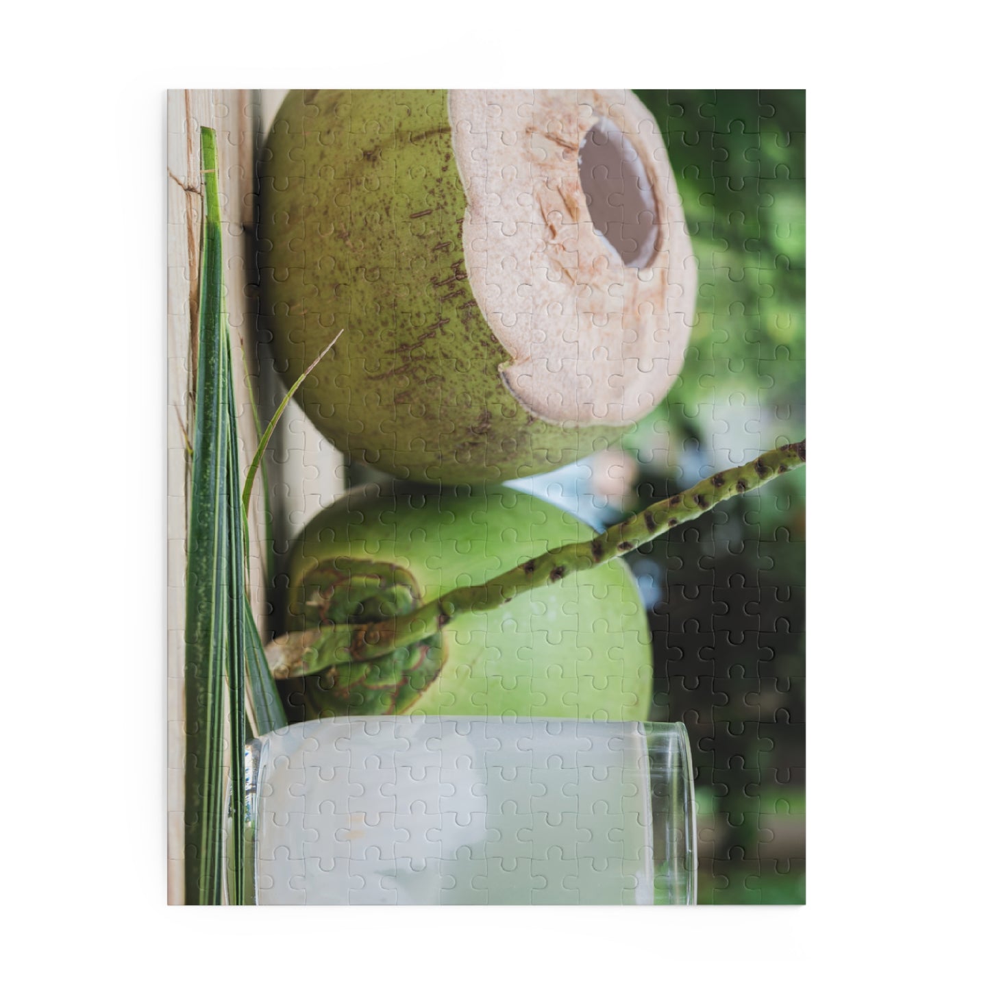 Green Coconut Puzzle (120, 252, or 500-Pieces)