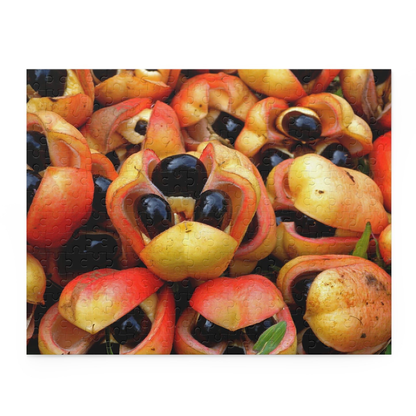 Ackee Puzzle (120, 252, or 500-Pieces)