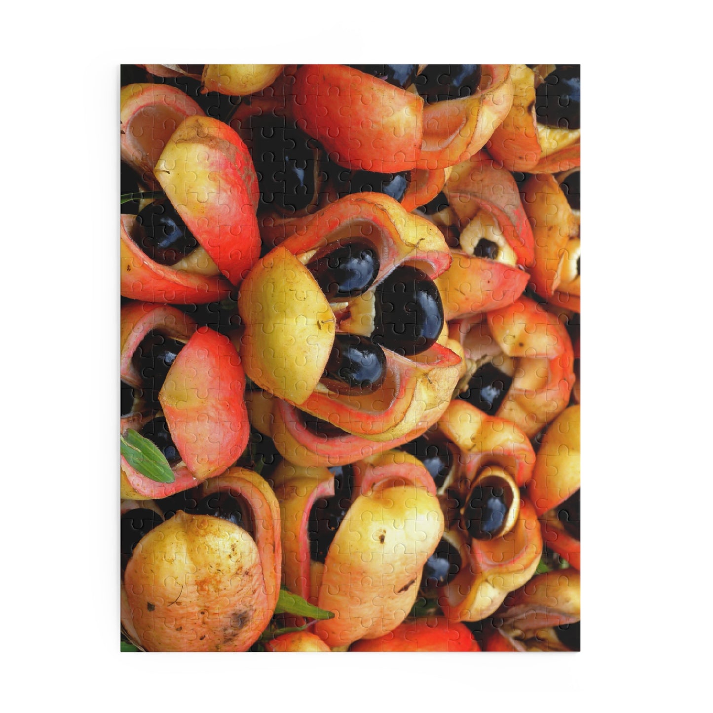 Ackee Puzzle (120, 252, or 500-Pieces)