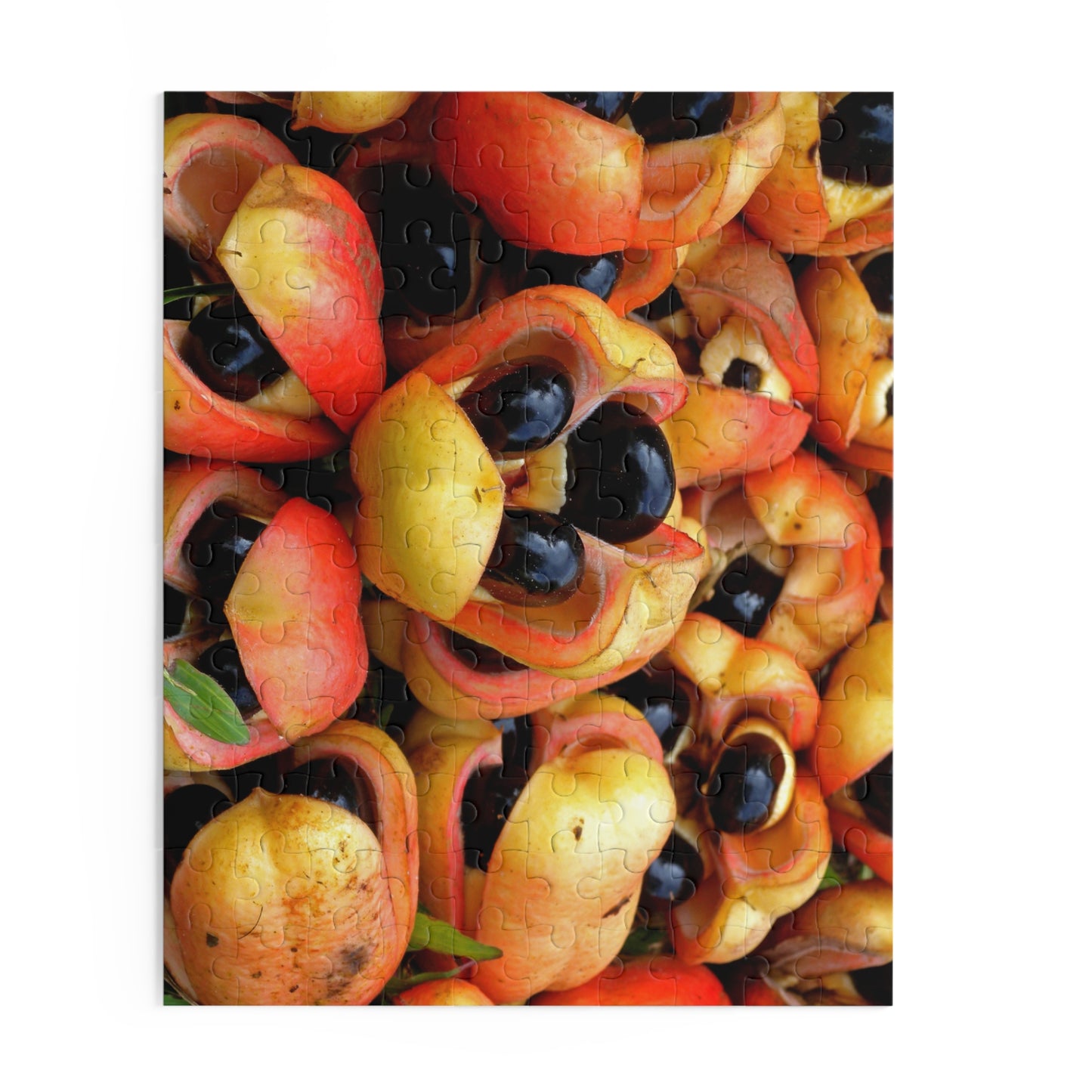 Ackee Puzzle (120, 252, or 500-Pieces)