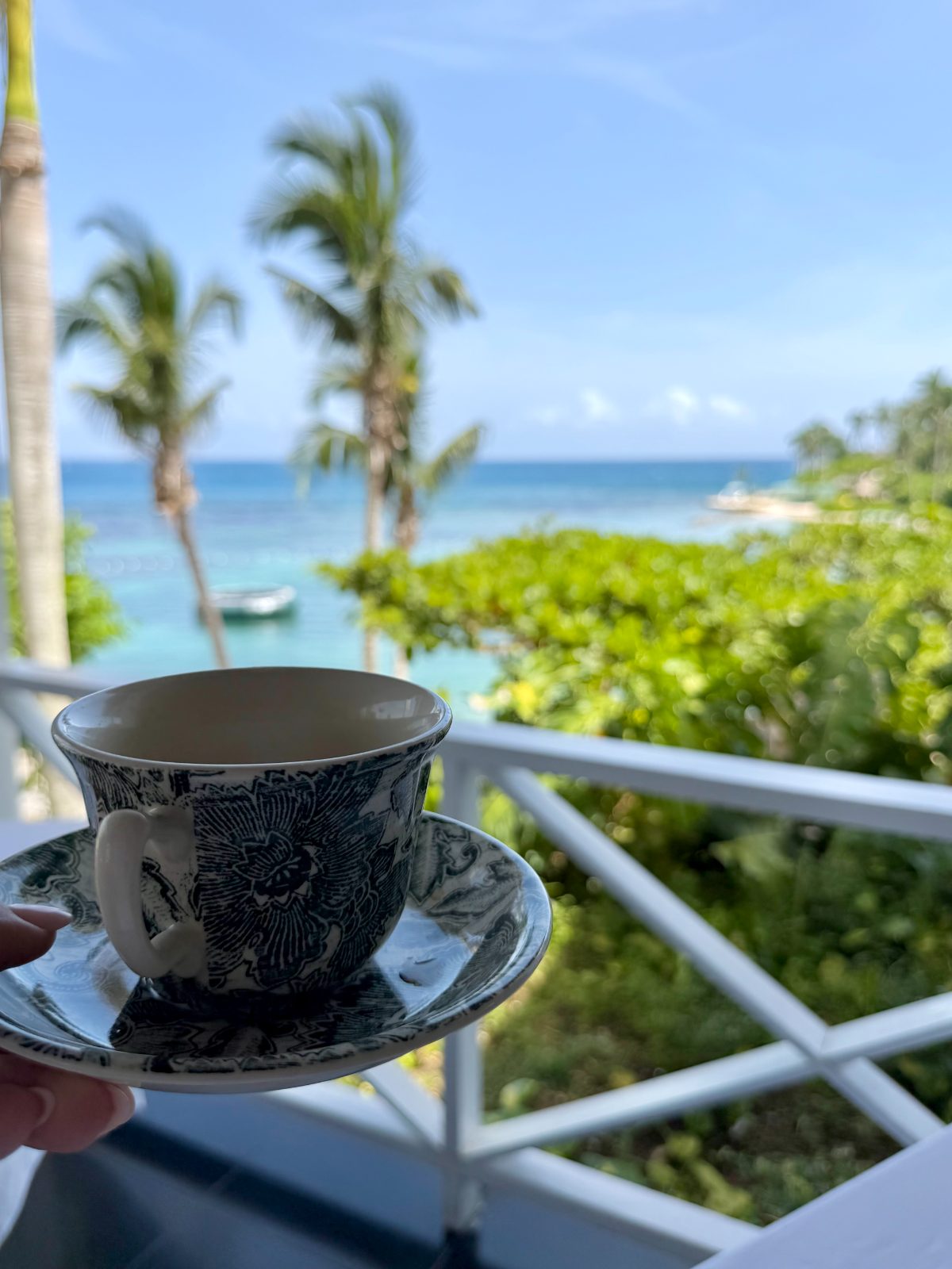 Morning tea over the cove